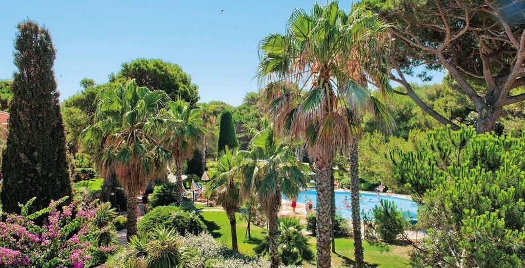 Badine Beach 5P Plage Piscine Balneo Clim Jardin Exotique Hyeres Exterior photo